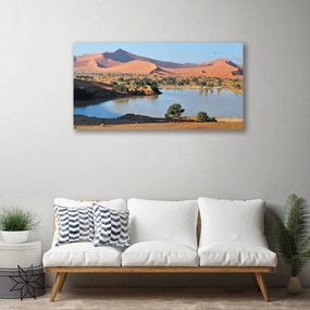 Obraz Canvas Jazero púšť krajina 140x70 cm
