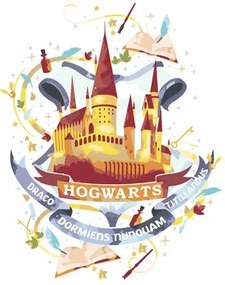 Maľovanie podľa čísel bez rámu ROKFORT