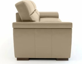 Kožené kreslo ROSSO II, cappuccino (cappuccino 313)