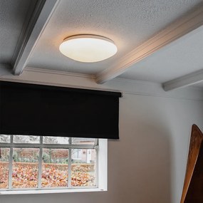 Stropné svietidlo biele 33 cm vrátane LED a stmievača s diaľkovým ovládaním - Iene