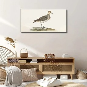 Obraz na plátne Moderné zvieracie vták