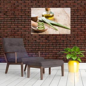 Obraz - Aloe vera (90x60 cm)