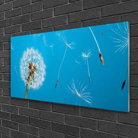Skleneny obraz Púpavy kvety príroda 140x70 cm