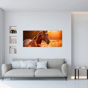 Obraz - Kôň v západe slnka (120x50 cm)