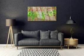 Skleneny obraz Sušené byliny listy príroda 120x60 cm