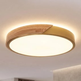 BRILAGI - LED Stropné svietidlo PILANA LED/24W/230V dub/zlatá pr. 30 cm