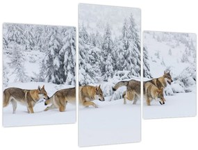 Obraz - Vlci v horách (90x60 cm)