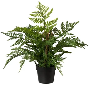 Umelé papradie, 35 cm