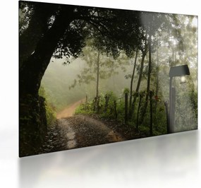 Sklenený obraz rannej hmly (70x50 cm)