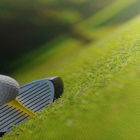 Obraz - Golf (150x105 cm)