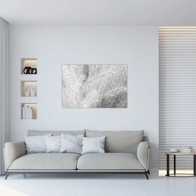 Obraz - Pampas grass N⁰1 (90x60 cm)