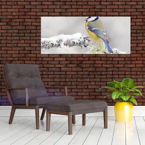 Obraz - Sýkorka modrinka v lese (120x50 cm)