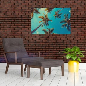 Obraz - Vysoké palmy (90x60 cm)