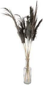 Šedá kytica sušené kvety bambusu Bamboo - 100 cm (10ks)