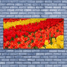 Obraz na akrylátovom skle Tulipány kvety 120x60 cm