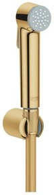 GROHE 27513GL1 - Ručná bidetová sprcha TEMPESTA-F 1250 mm zlatá