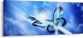 Obraz - Motýľ, symbol nádeje (120x50 cm)