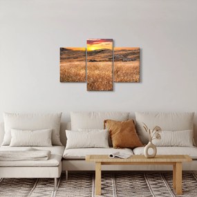 Obraz pole (90x60 cm)