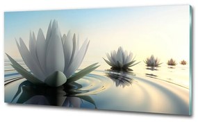 Fotoobraz na skle kvet lotosu osh-68293663