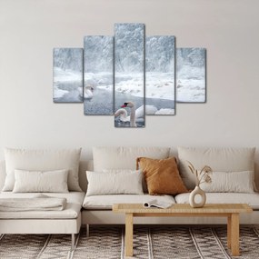 Obraz labutí (150x105 cm)