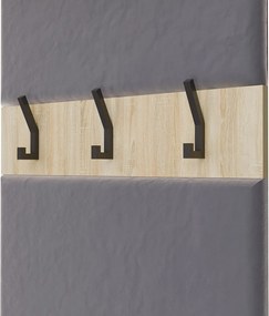 Předsíňová stěna HAGA 1W 50 cm dub Sonoma