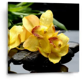 Sablio Obraz Žlté Orchidey - 50x50 cm