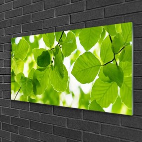Obraz na skle Listy príroda rastlina 140x70 cm