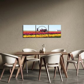 Obraz tulipánové farmy (s hodinami) (90x30 cm)