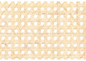 Sivá ratanová jedálenská stolička Spike - Zuiver