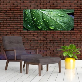 Obraz - Detail listu po daždi (120x50 cm)