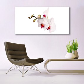 Obraz plexi Kvety príroda orchidea 120x60 cm
