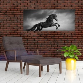 Obraz - Kôň čiernobiely (120x50 cm)