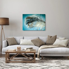 Sklenený obraz pierka (70x50 cm)