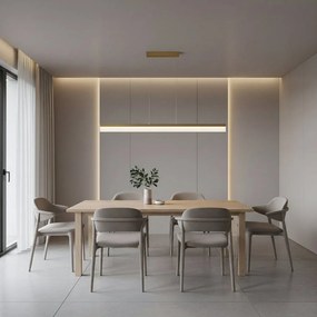 Toolight Toolight, LED stropné svietidlo 120cm, APP1694-CP, zlatá matná, OSW-07891