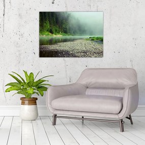 Sklenený obraz - Rieka pri lese (70x50 cm)