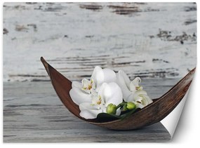 Gario Fototapeta Farebné zenové orchidey Materiál: Vliesová, Rozmery: 150 x 105 cm