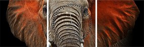 Obraz - Slony z Tsavo (s hodinami) (90x30 cm)