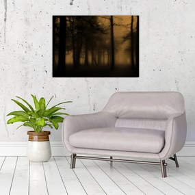 Obraz - Temný les (70x50 cm)
