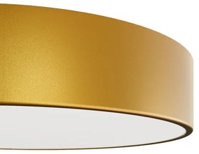 Kúpeľňové stropné svietidlo CLEO 2xE27/24W/230V pr. 30 cm zlatá IP54