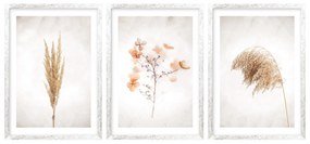 Gario Sada plagátov Dry nature - 3 dielna Farba rámu: Bez rámu, Rozmery: 99 x 45 cm