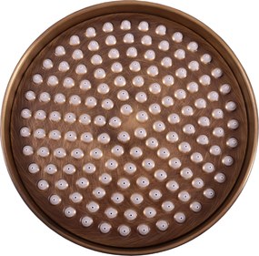 Slezák - RAV Hlavová sprcha okrúhla kovová ø 20 cm - KS0020SM, Stará mosadz (Bronz)