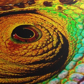 Obraz - Chameleon (70x50 cm)