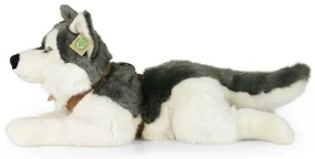 Rappa Plyšový husky s postrojom 60 cm ECO -FRIENDLY