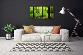 Obraz Canvas Les zeleň stromy príroda 120x60 cm