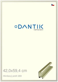 DANTIK rám na obraz 42x59,4 | ALU zlatá matná (Plexi Čiré)