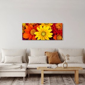 Obraz kvetov (120x50 cm)