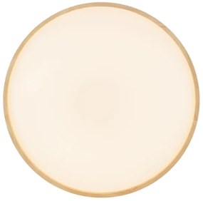 Brilliant - LED stmievateľné stropné svietidlo ALSON LED/21W/230V béžové + DO