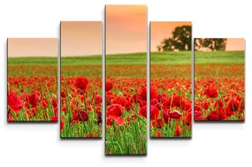Sablio Obraz - 5-dílný Pole vlčieho maku 2 - 125x90 cm