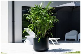 Prosperplast Kvetináč Heos (antracitová, 470x568)  (100378800)