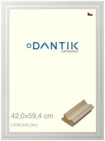DANTIK rám na obraz 42x59,4 | LYON Bílá (Plexi Čiré)